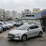 중고차 매매 단지에 주차된 차량