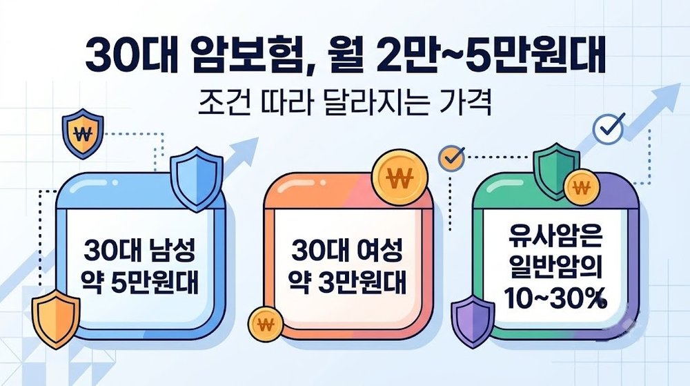 30대 암보험 가격 월 2만~5만원대 인포그래픽