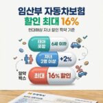 현대해상 자동차보험 임산부 할인 최대 16% 요약